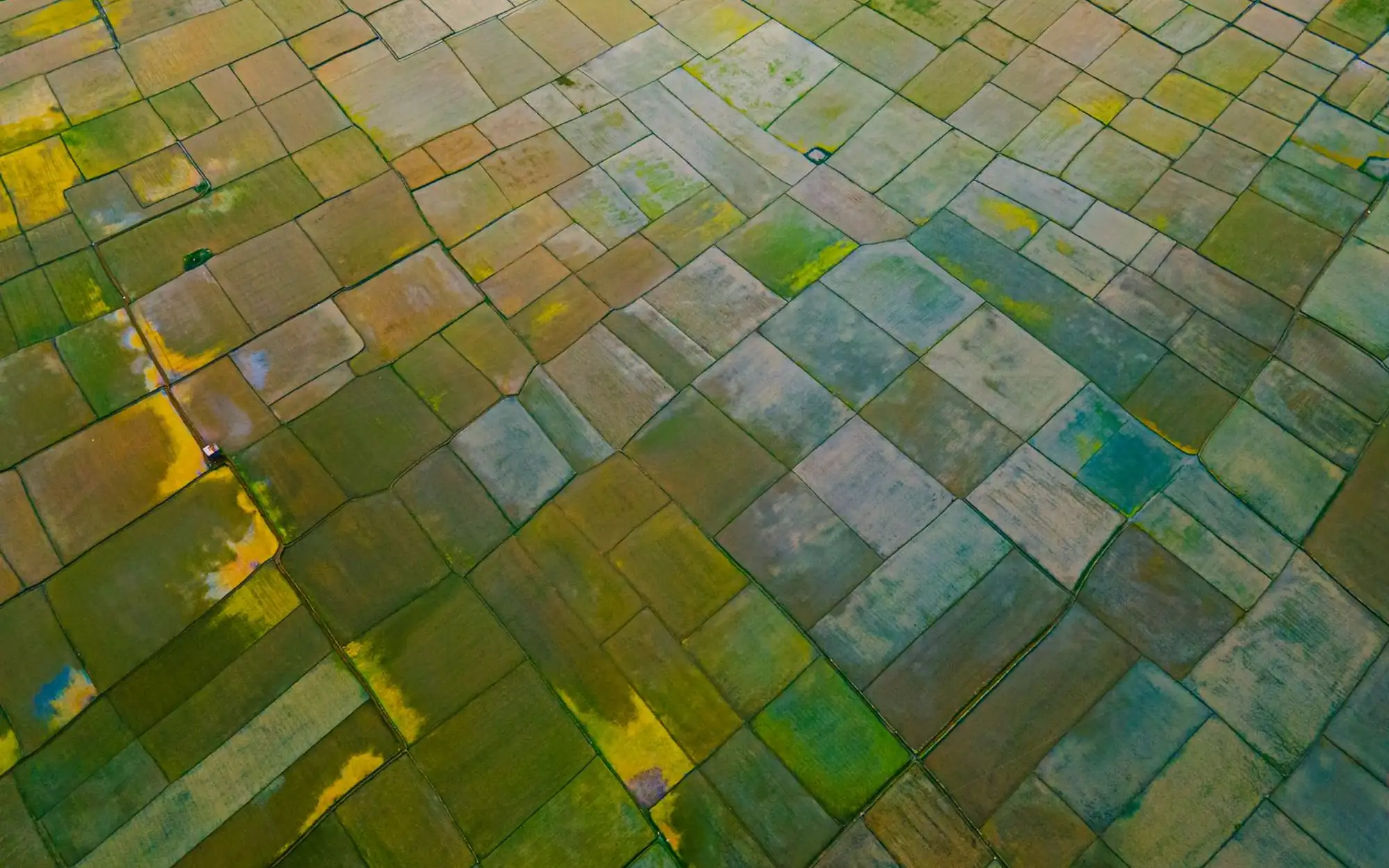 Farm plots seen from above