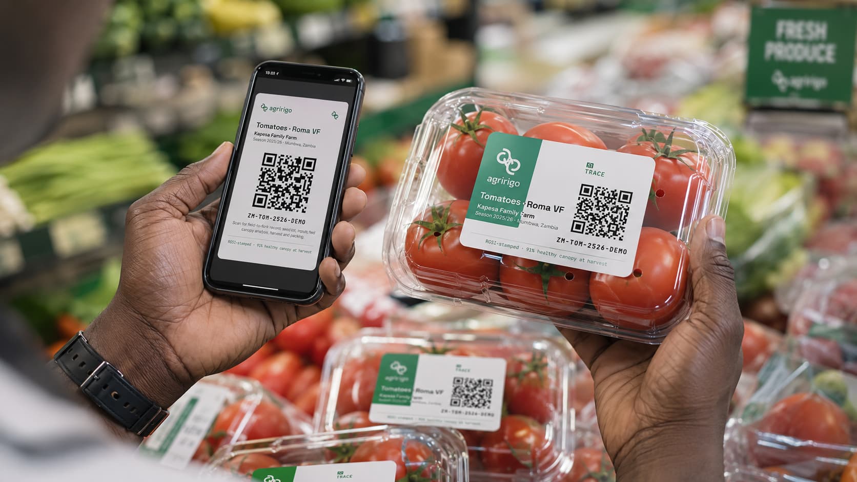 A shopper scanning a RigoTrace QR label on a tomato punnet in a grocery store