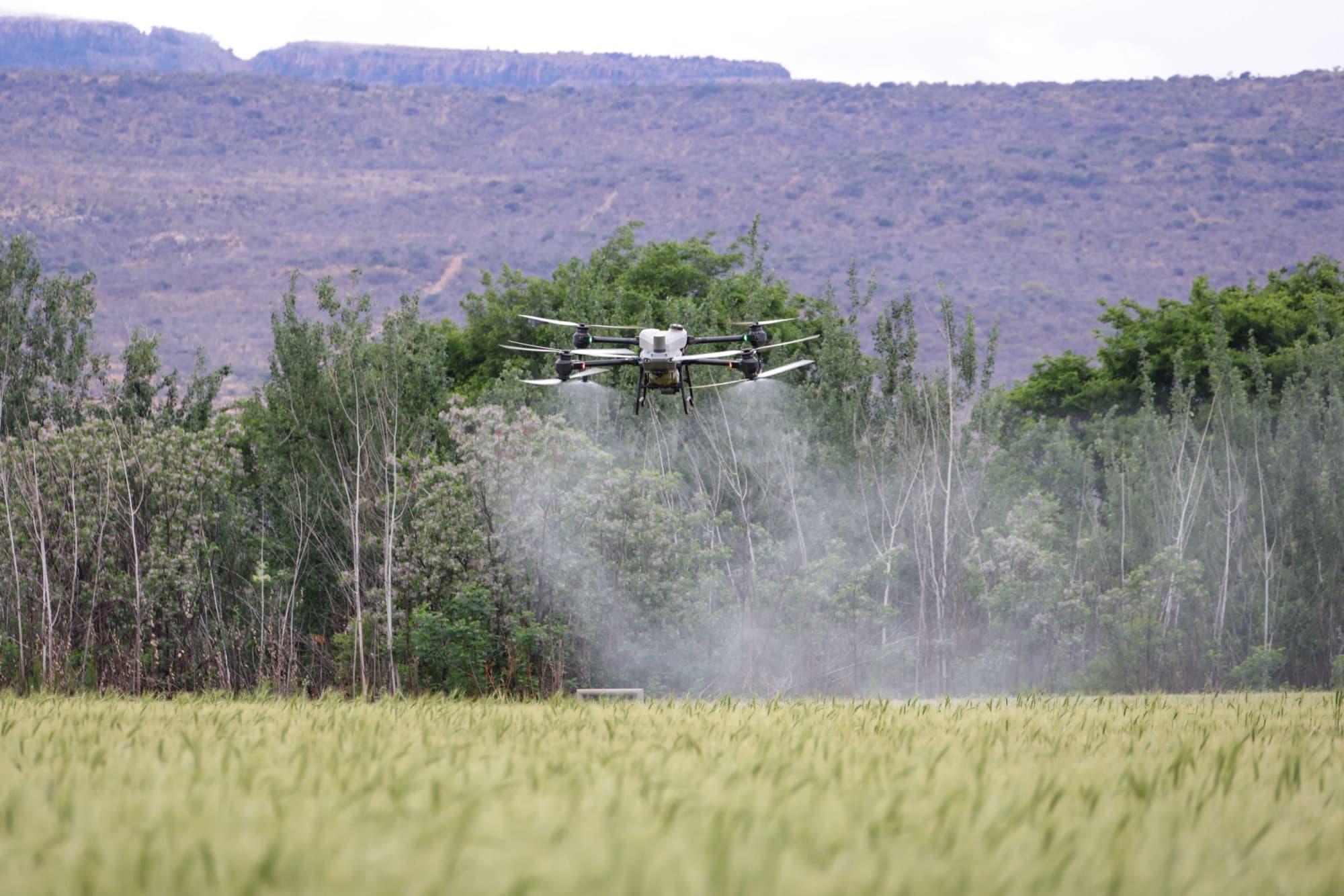 An enterprise multirotor drone spraying a green field, hills behind