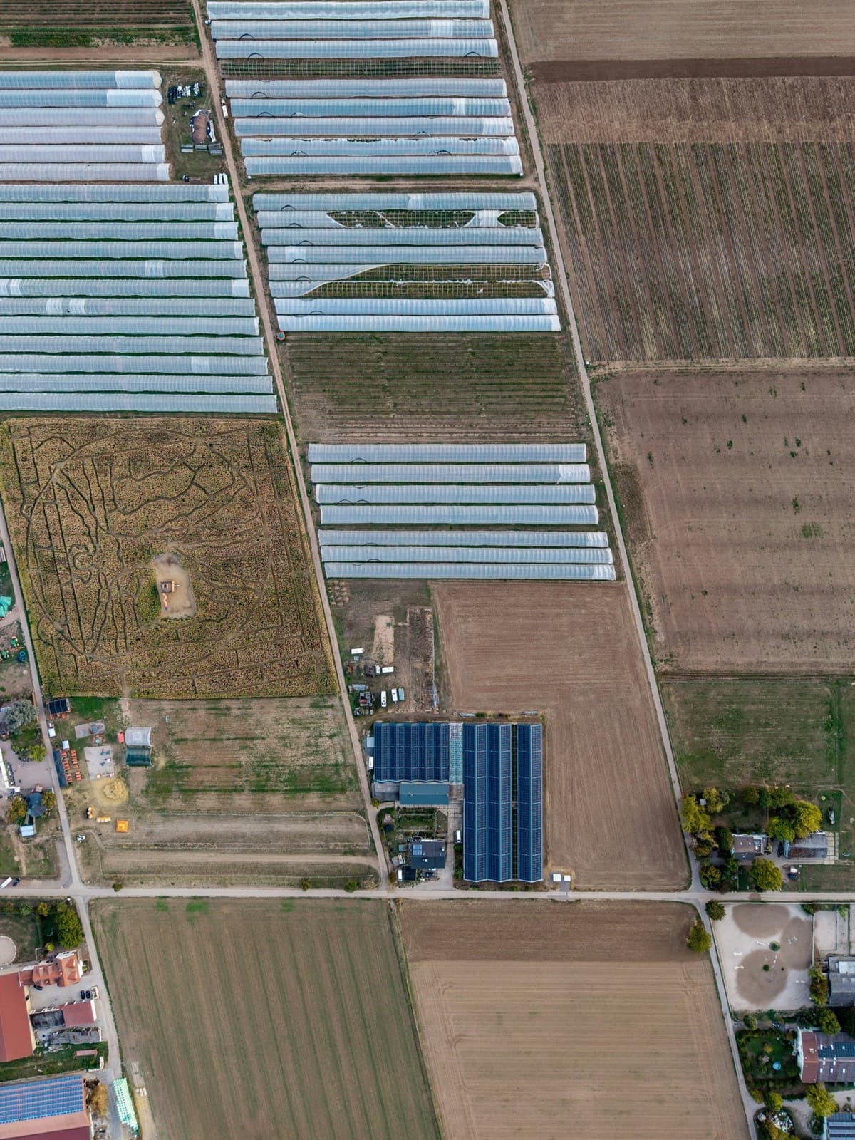 Aerial view of rows of growing tunnels beside a building roofed with solar panels