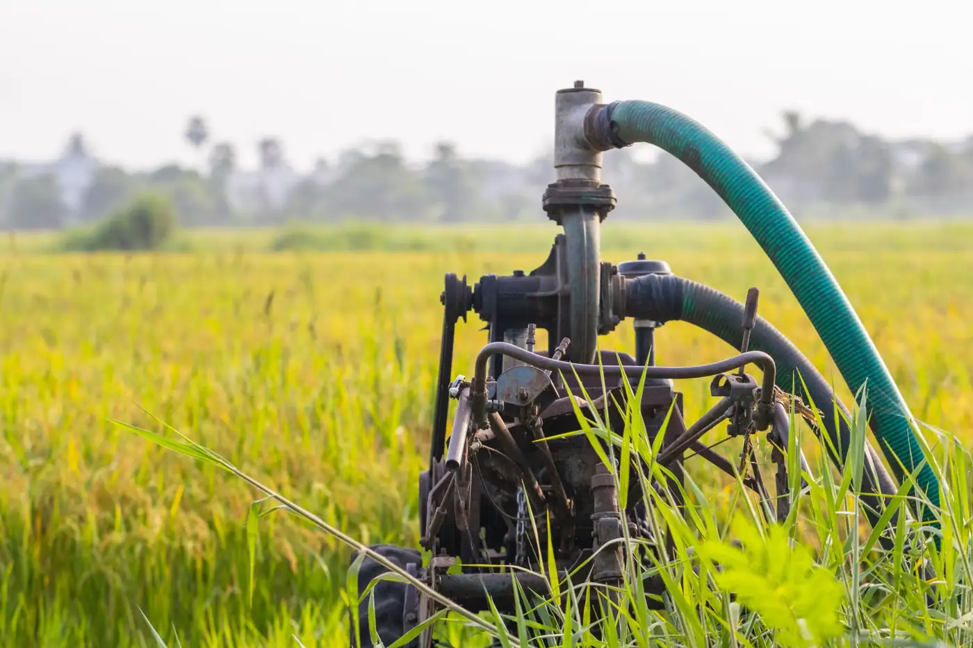 An irrigation pump in a field