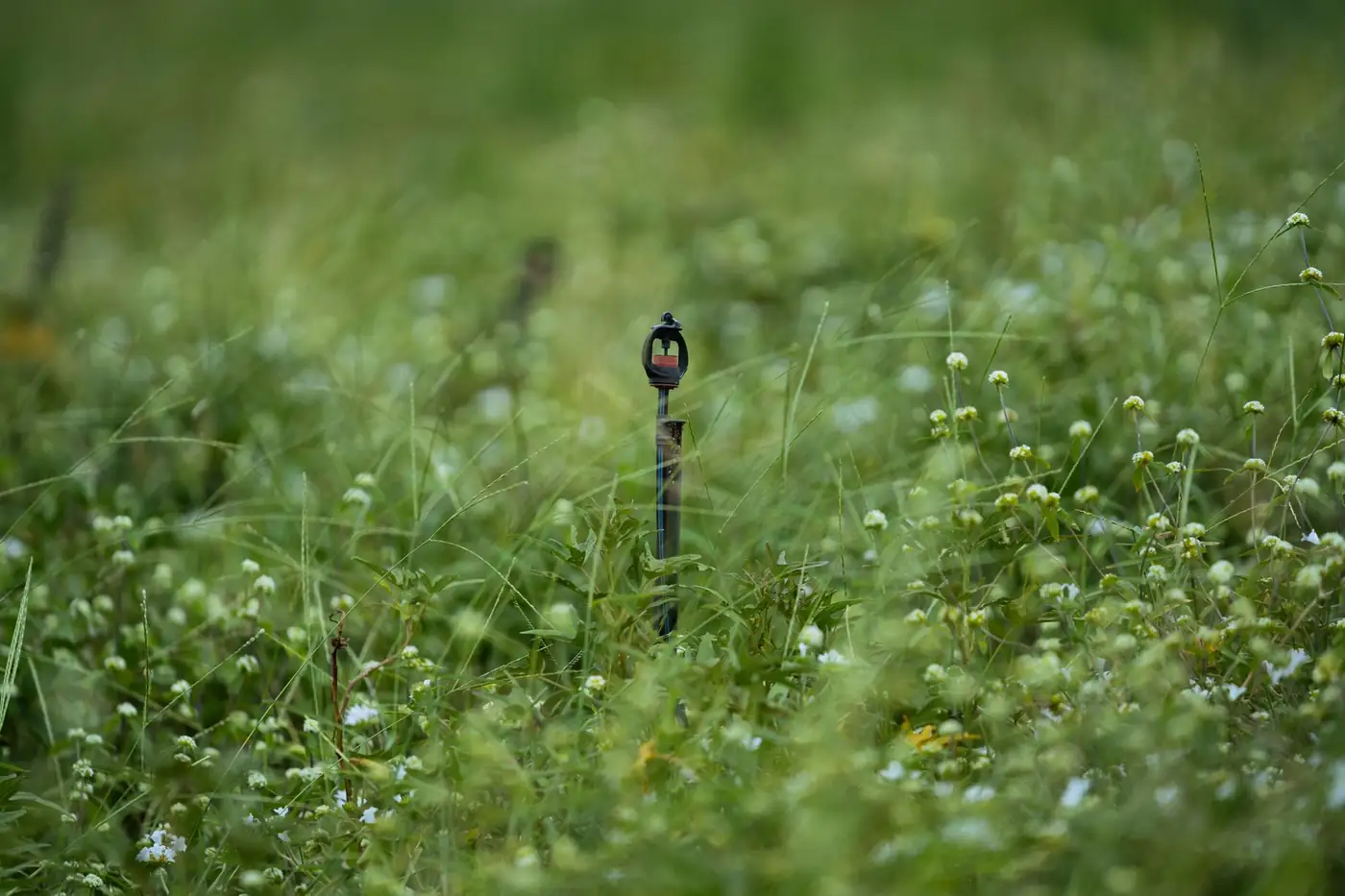 A sensor stake standing in a green field