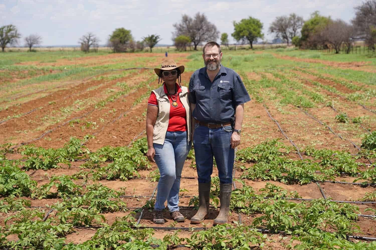 A farmer and an adviser standing between drip-irrigated rows on a working farm
