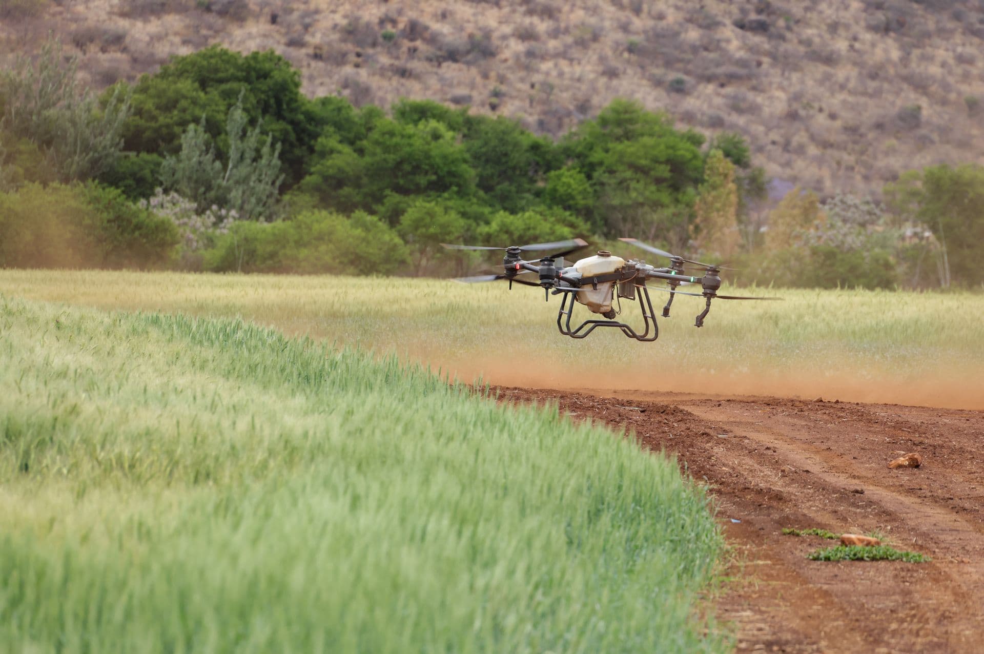 Drone hovering over a green crop field