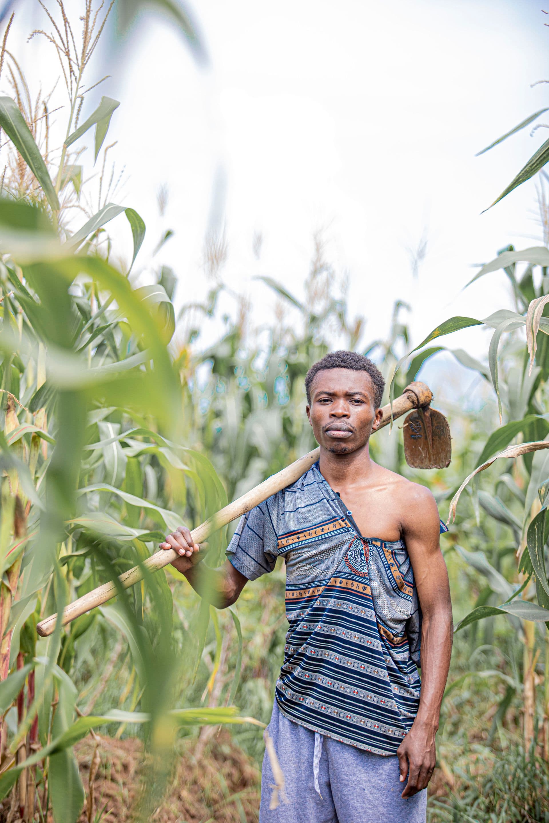 Farmer standing in a maize field holding a hoe