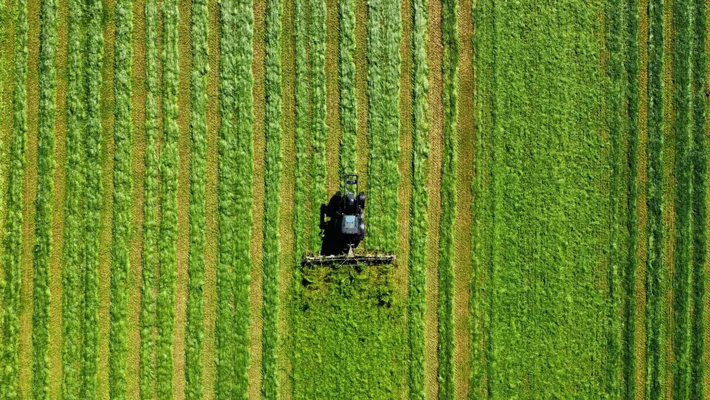A tractor working a green field, seen from above