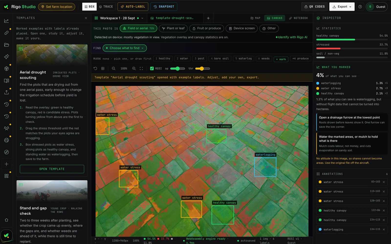 Rigo Studio showing stressed plots and the recommended next steps